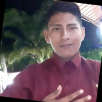Cristian Loayza Apaza