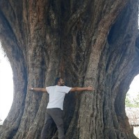 Nityanand Rai