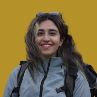 Negar Pirhayati