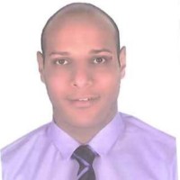 Amr Alaa Elden