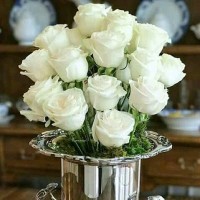 Qasim Zahoor