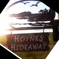 Jamie Hoynes
