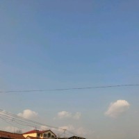 陈富伟
