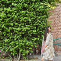 Zarmeen Niazi