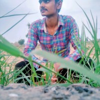 Surender Rajput