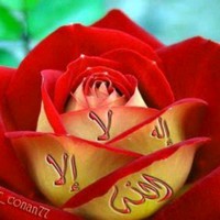 Noura Djouamaa