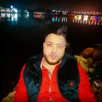محمد محمود زكى