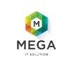 Mega It Solution