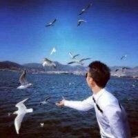 毕云飞