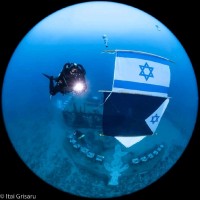 Yaron Cohen