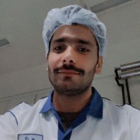Rana sammar
