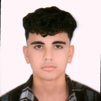 محمد نصر سعيد