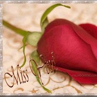 Noor Love Rain