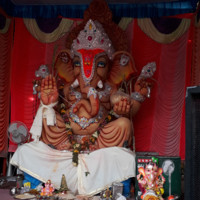 Rajesh Udutha