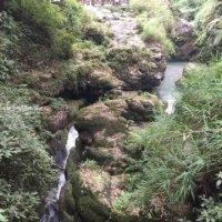 王柏松