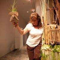 Michele Brody