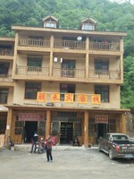 马林虎