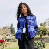 Areej Anwar