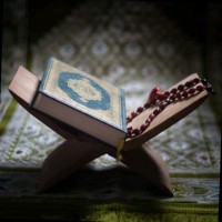 The Perfect Learning Online Qur'An Academy Tpl