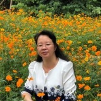 Aileen Lu
