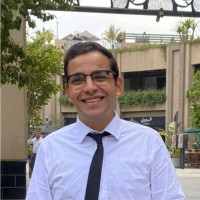 Ziad Medhat Ali