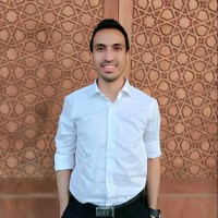 Mostafa Abdelkarim