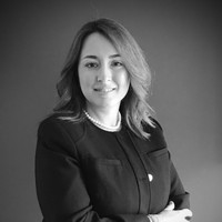 N. Ceren Gülgeze Ünal