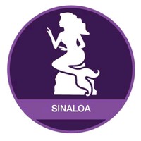 Maya Seguridad Sinaloa