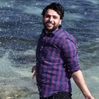 Hassan Mekkawi