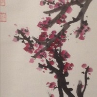 Yang Guang Guang
