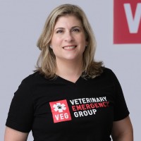 Lauren A. Carnevale