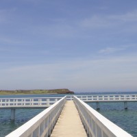 Nien-tsu Yao
