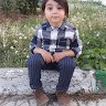 رضا امینی