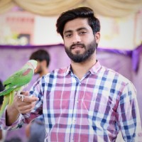 Muhammad Haisam