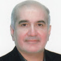 mohammad reza valavi