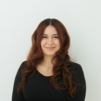 Seta Kameneh