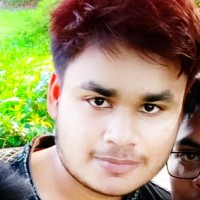 Mehedi Islam Sajib