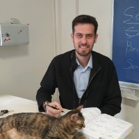 Ali Erez
