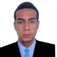 Bryan Alejandro Perilla Giraldo