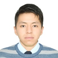 Luis Raúl Ilachoque aparicio