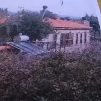 Sercil Torlak