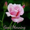 Vimal Ps