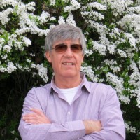 Israel Wertheimer