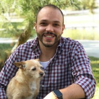 Ryan Rotellini