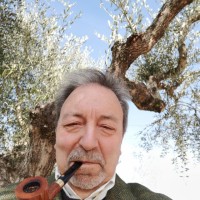 Giuseppe Leoni Pino Leoni