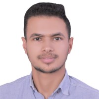 Mahmoud Abdalraouf Alhassany