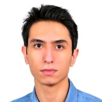 Koosha Shayan Arani