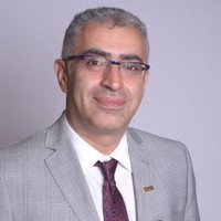 Ali Hadayeghi, P.eng, Phd