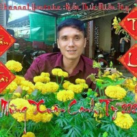 Sangtran Sang