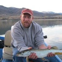 Shane Stilson